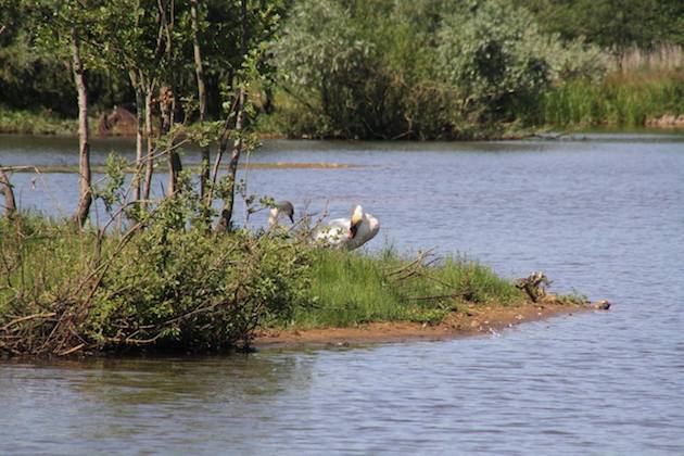 Fotoalbum de Lindehof