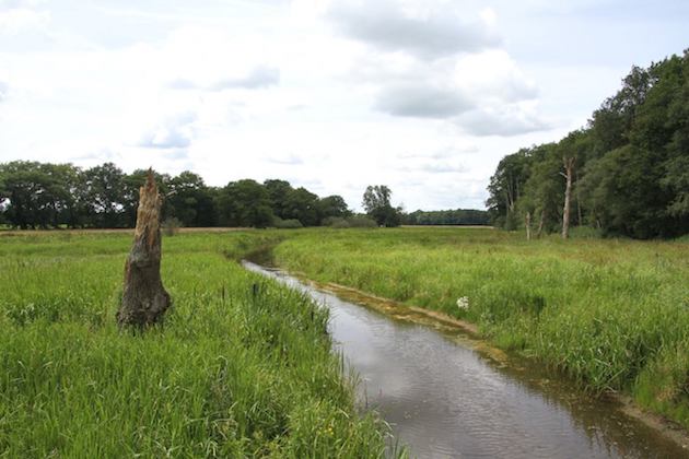 Fotoalbum de Lindehof