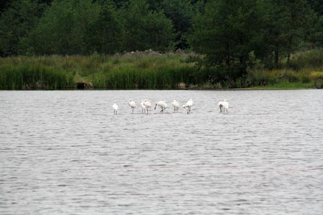 Fotoalbum de Lindehof