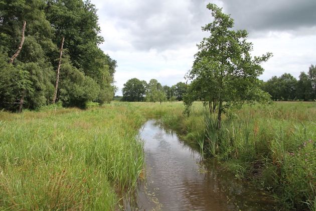 Fotoalbum de Lindehof