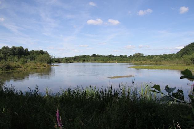 Fotoalbum de Lindehof