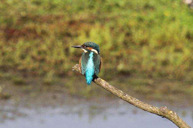 Fotoalbum de Lindehof