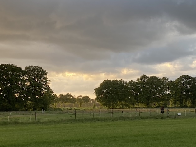 Fotoalbum de Lindehof
