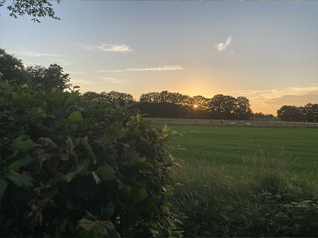 Fotoalbum de Lindehof