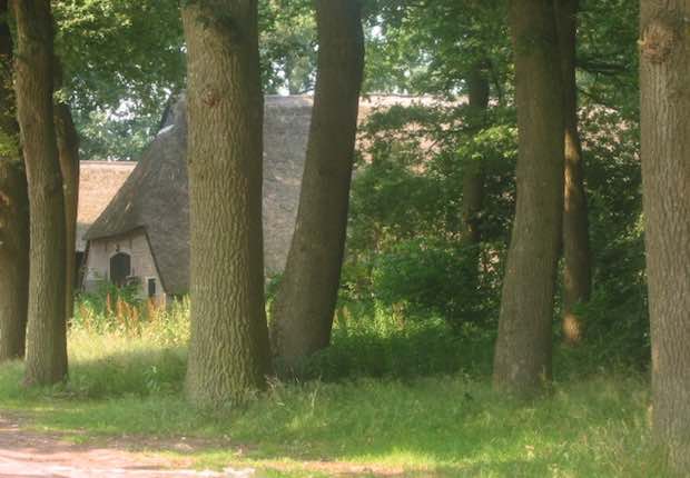 Fotoalbum de Lindehof