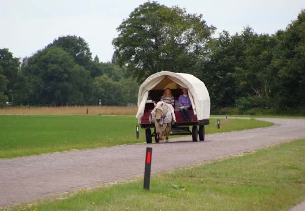 Fotoalbum de Lindehof