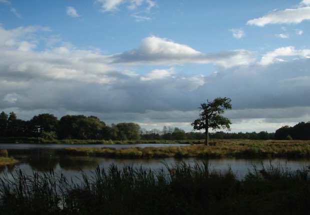 Fotoalbum de Lindehof