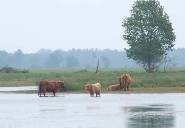 Fotoalbum de Lindehof