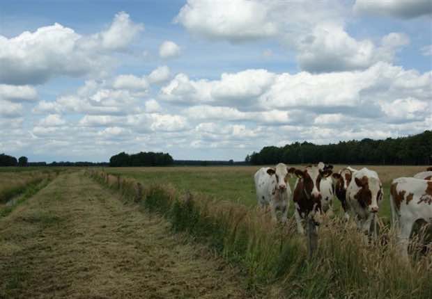 Fotoalbum de Lindehof