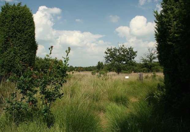 Fotoalbum de Lindehof