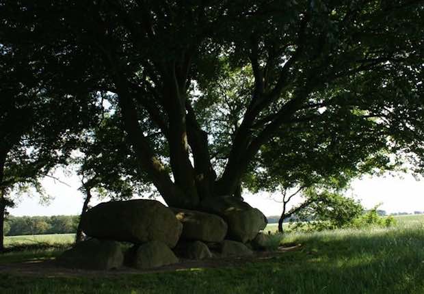 Fotoalbum de Lindehof