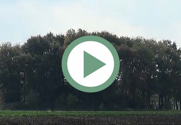 Video Herfst in Gees