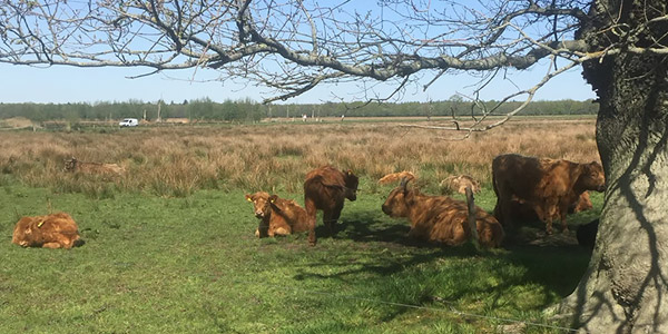 Avondwandeling in de natuur