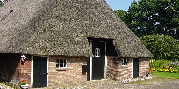 Saksische boerderijen in Gees