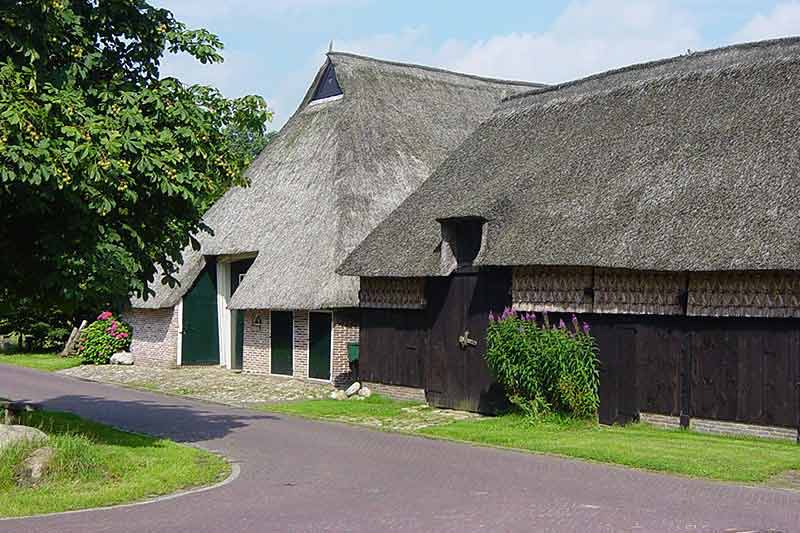 Gees, een parel in Drenthe