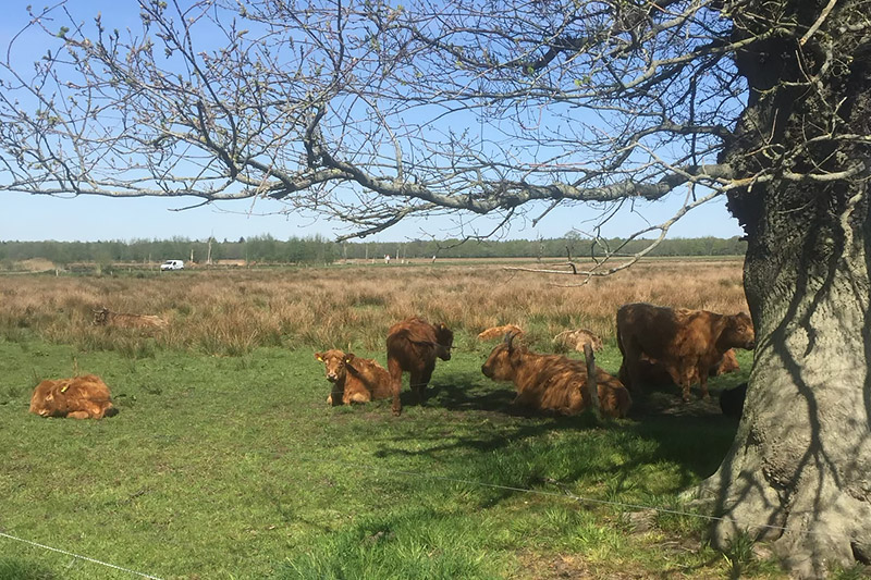 Drenthe doet wat met je