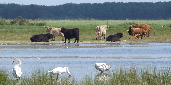 Ongekend natuurlijk